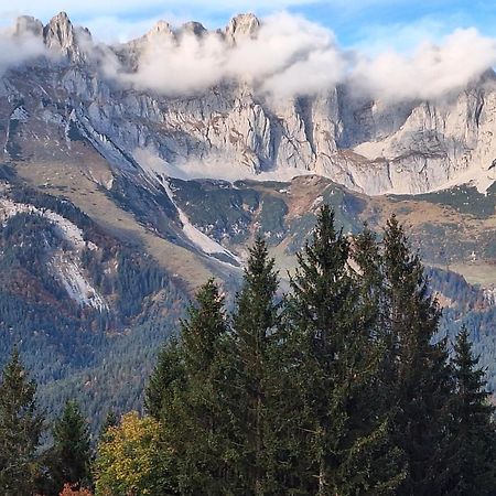 Apartment Unterhollenau Going am Wilden Kaiser Exteriör bild