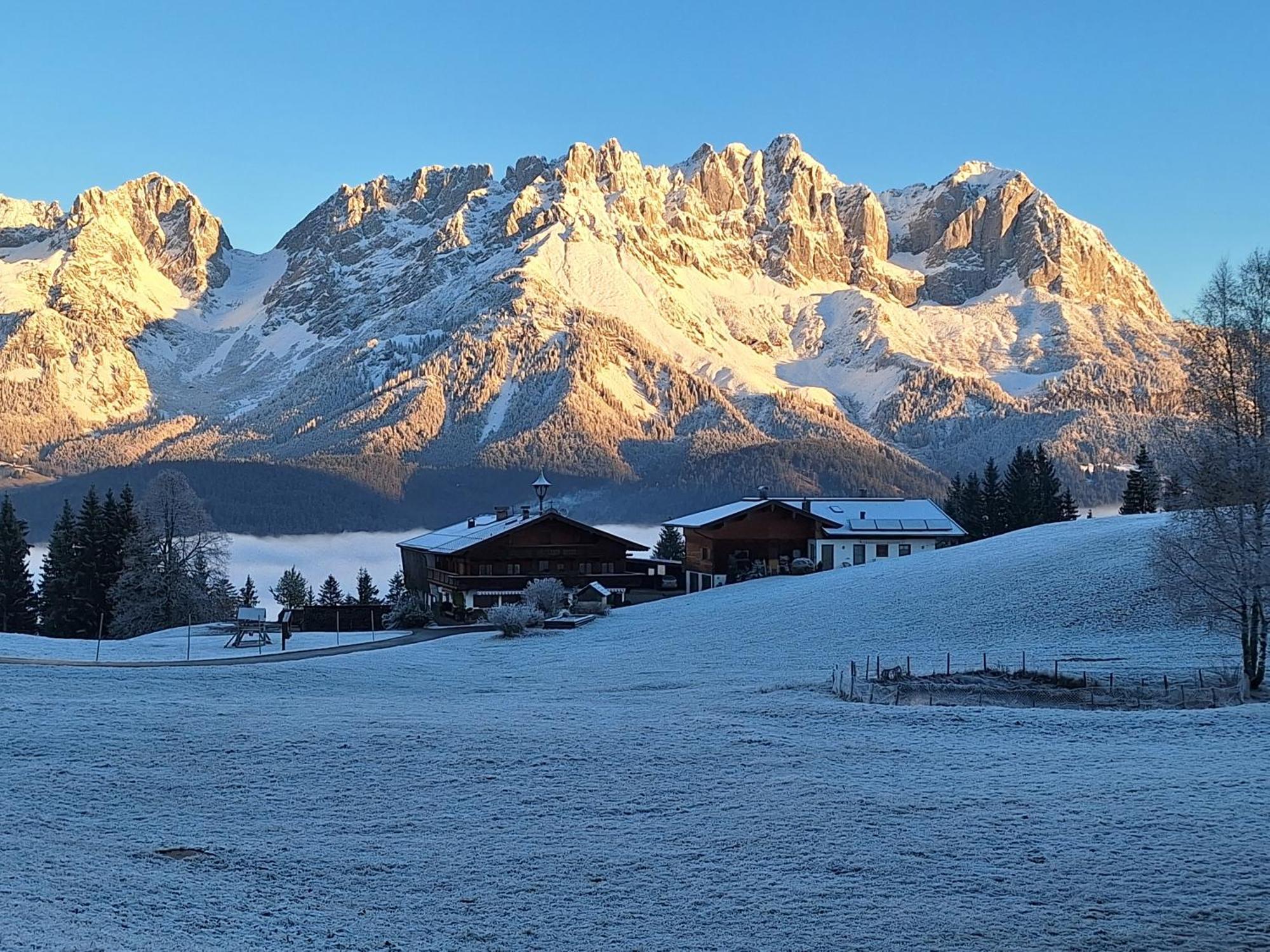 Apartment Unterhollenau Going am Wilden Kaiser Exteriör bild